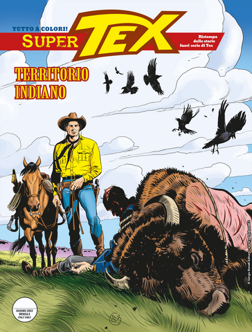 SUPER TEX # 8 TERRITORIO INDIANO