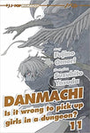 DANMACHI LIGHT NOVEL #11