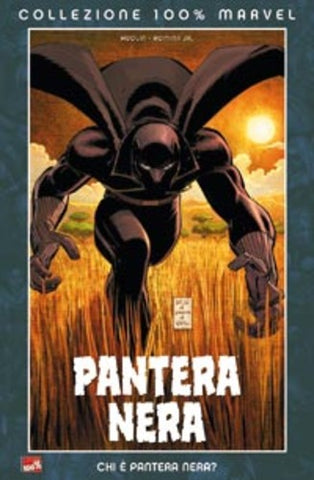 COLLEZIONE 100% MARVEL CHI E PANTERA NERA?