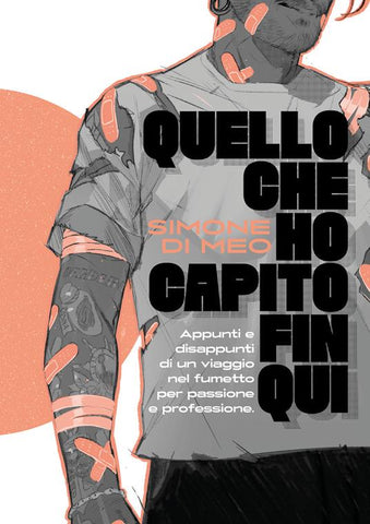 QUELLO CHE HO CAPITO FIN QUI