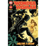 WONDER WOMAN (PANINI) #41