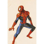 UOMO RAGNO #876 AMAZING SPIDER-MAN 3 VARIANT MARVEL VS CAPCOM