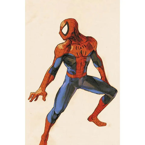 UOMO RAGNO #876 AMAZING SPIDER-MAN 3 VARIANT MARVEL VS CAPCOM