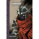 TMNT DELUXE # 6