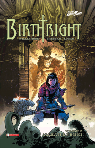BIRTHRIGHT HC # 3 NEMICI E ALLEATI