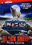 BLACK SHEEP - PECORE ASSASSINE