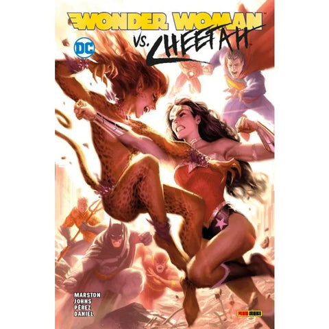 DC COMICS COLLECTION WONDER WOMAN VS CHEETAH