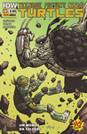 TEENAGE MUTANT NINJA TURTLES #25