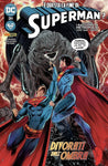 SUPERMAN (PANINI) #31