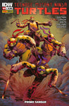 TEENAGE MUTANT NINJA TURTLES #52