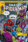MARVEL MASTERWORKS SPIDERMAN #17