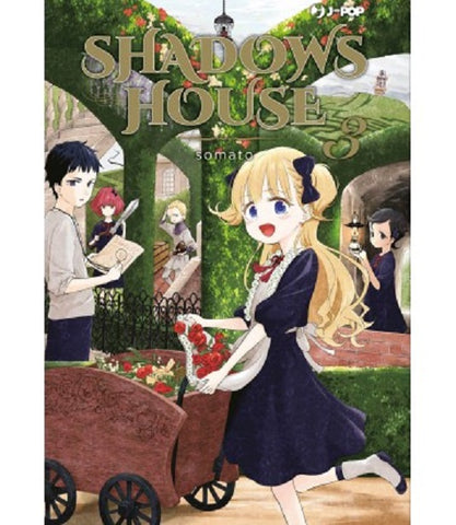 SHADOWS HOUSE # 3